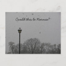 Could this be Narnia?