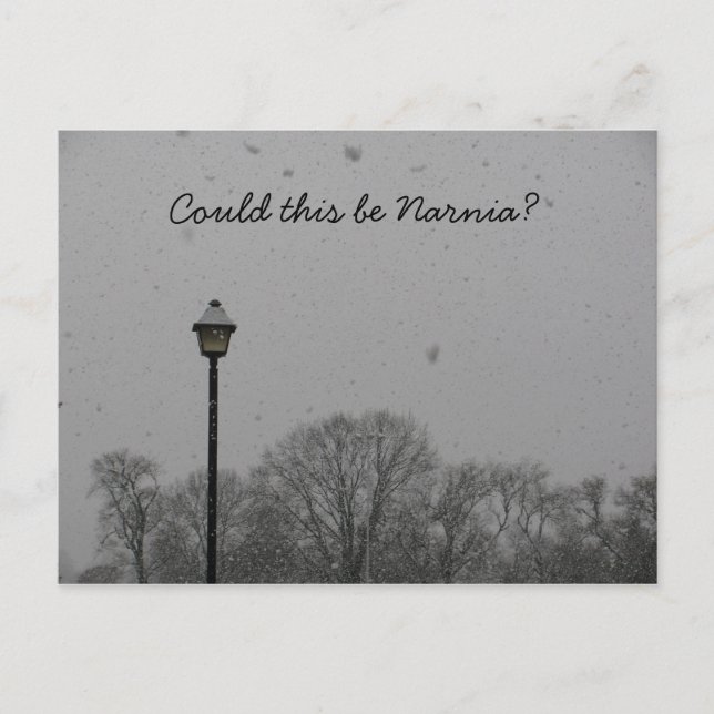Could this be Narnia? Postcard (Front)