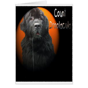 Count Droolacula The Newfoundland