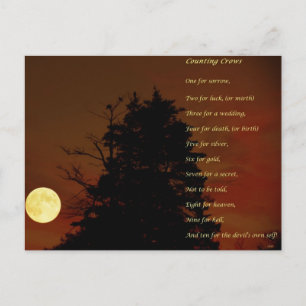 Counting Crows Postcard
