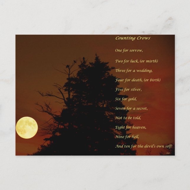 Counting Crows Postcard (Front)