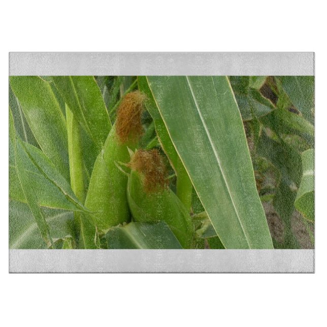 Country 109 glass cutting board (Front)