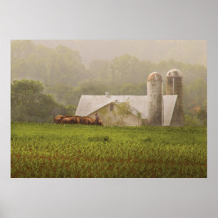 Country - Amish Farming Poster