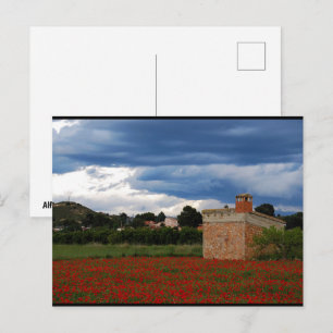Country Barn in Poppy Field Postcard