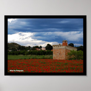 Country Barn in Poppy Field Poster