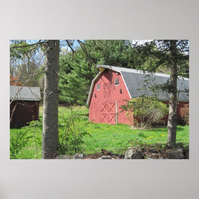 Country Barn Poster (Front)