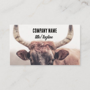 country brown cow animal photography custom  business card