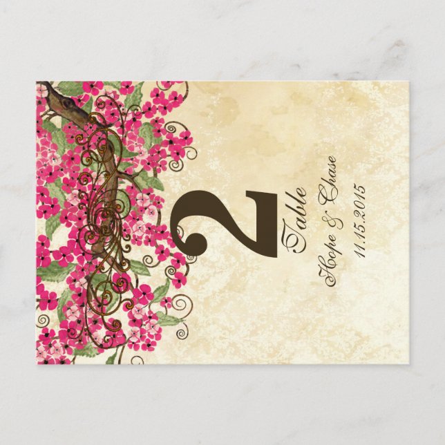 Country Chic Pink Cherry Blossom Table Number Card (Front)