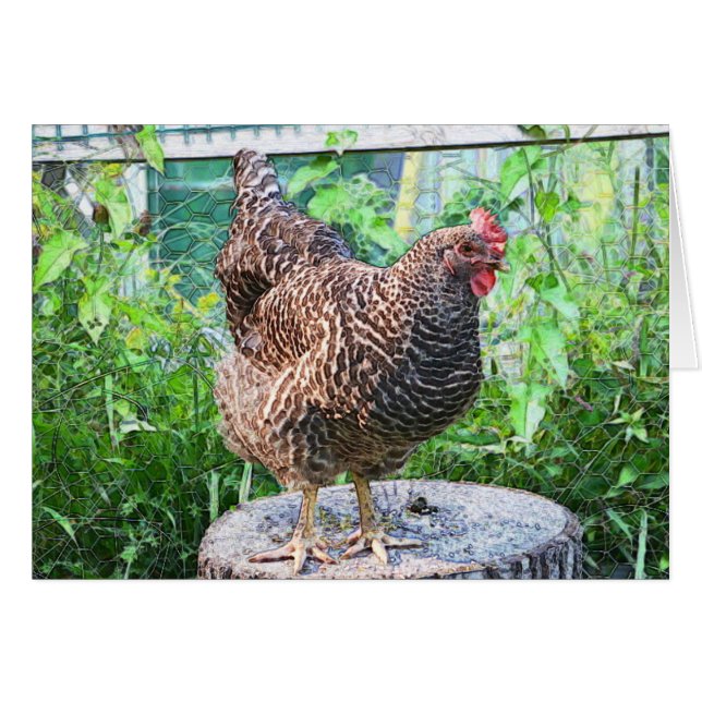 Country Chicken Greeting Card (Front Horizontal)