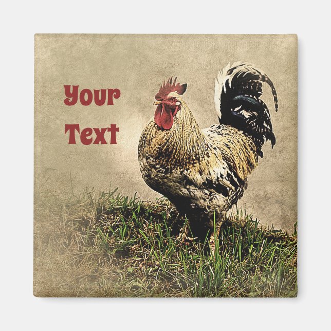 Country Chicken Rooster Magnet (Front)