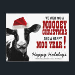 Country Christmas Santa Cow Holiday Postcard<br><div class="desc">Here's a cute country themed holiday Christmas mailing postcard for farm folks! Featuring a large black and white hostein dairy cow known for producing milk wearing a bright red and white fluffy santa hat on its head. Country western style red text with two cow puns to wish your friends and...</div>