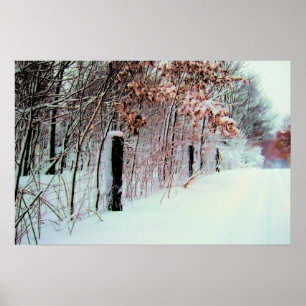 Country Cold Poster