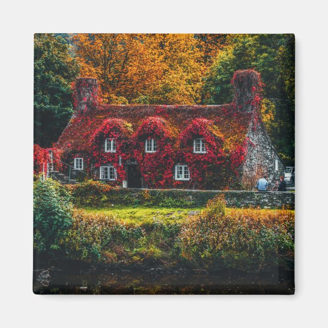 Country Cottage with Red Vines Covering Home Magnet (Front)