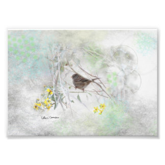 Country Dreams Photo Print