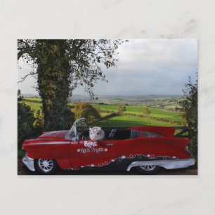 Country Drive Postcard