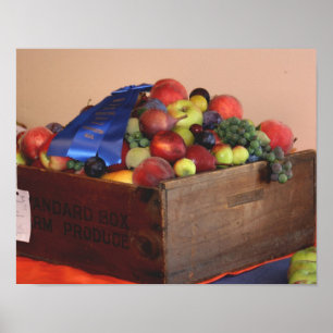 Country Fair Fruit First Prize Blue Ribbon Poster