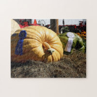 Country Fair Giant Pumpkin Blue Ribbon