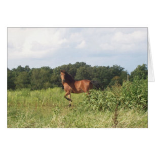 Country Farm Horse
