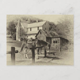 Country Farm Scene Post Card