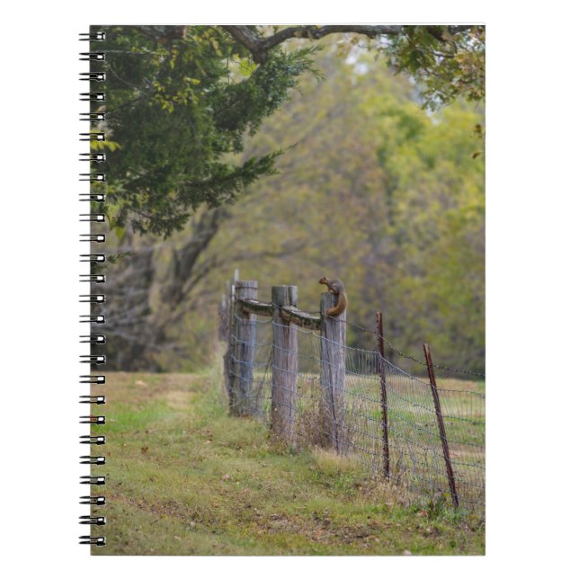 Country Fence and A Squirrel Notebook (Front)