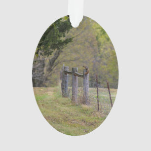 Country Fence and A Squirrel Ornament