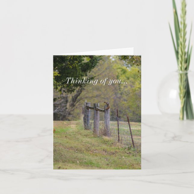 Country Fence and A Squirrel Thinking Of You Card (Front)