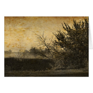 Country Field landscape Rustic Winter Trees