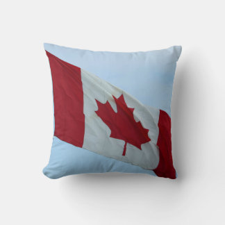 country flag pillow 