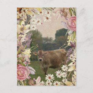 Country Flowers Jersey Cow Postcard