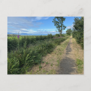 Country Footpath on the Isle of Bute Scotland on a Holiday Postcard
