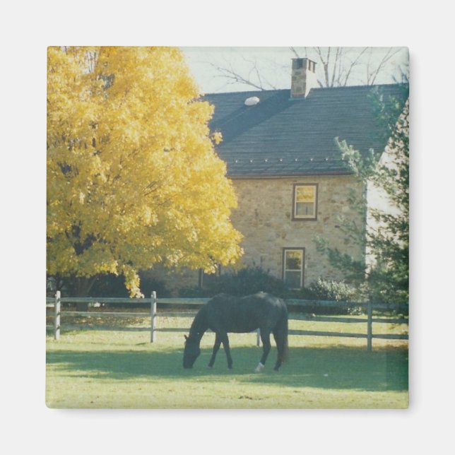 Country Horse - magnet (Front)