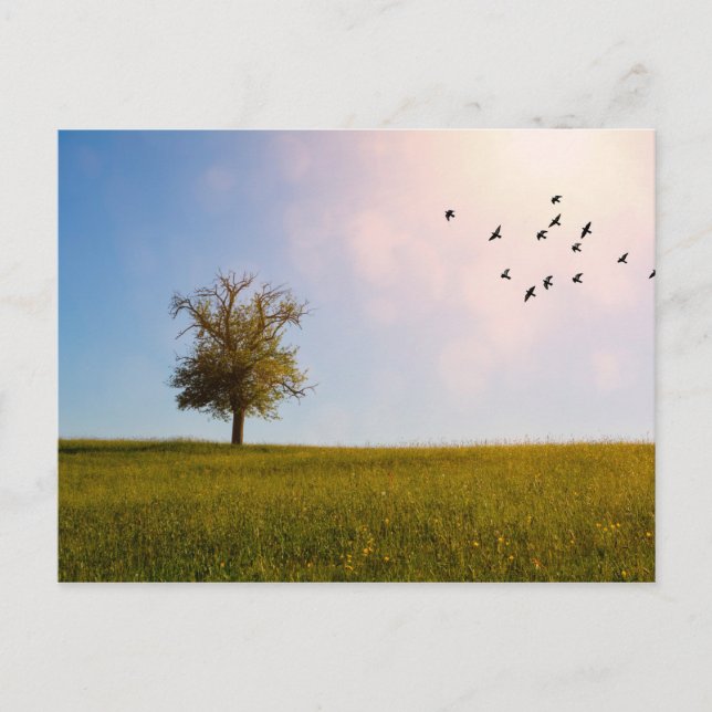 Country idyll postcard (Front)