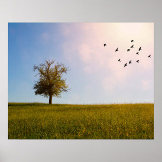 Country idyll with birds poster
