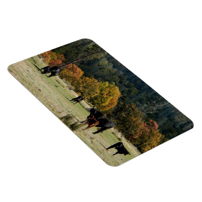 Country in the Fall... Magnet (Right Side)