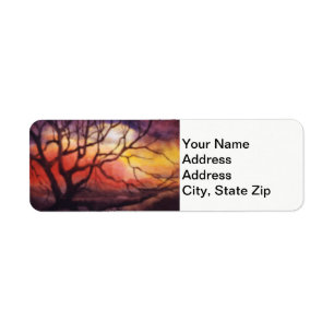 Country landscapes and scenic views sunset trees.