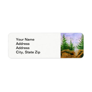 Country landscapes clear blue summer sky pine.
