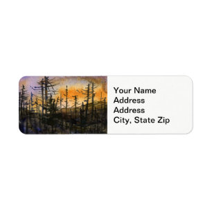 Country landscapes scenic pine scags treeline .
