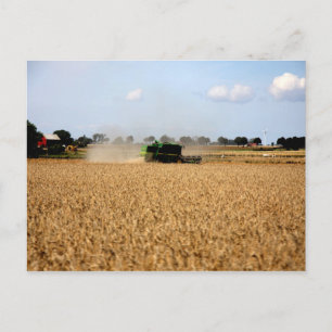 Country life postcard