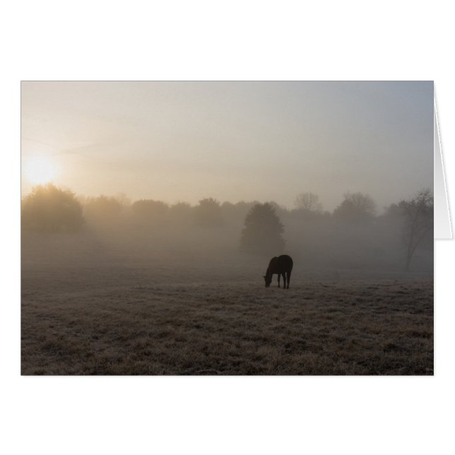 Country Morning (Front Horizontal)