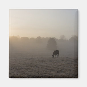 Country Morning Magnet