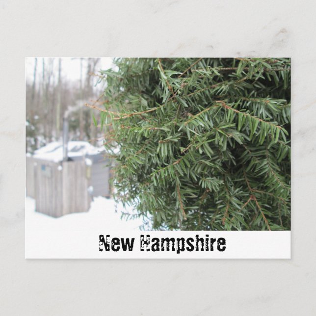Country NH Winter Postcard (Front)