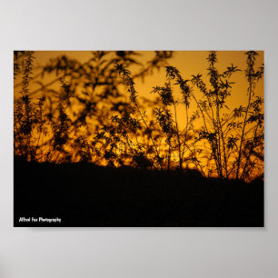 Country Orange Sunset Silhouette Poster
