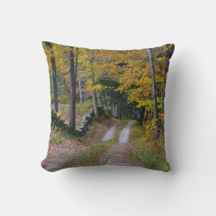 Country Path Cushion