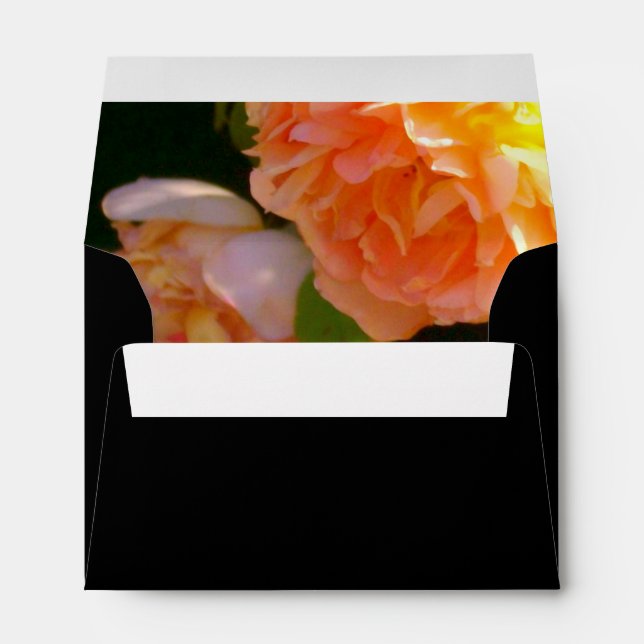 Country Peach Roses Envelopes (Back (Bottom))