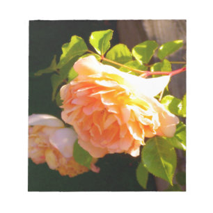 Country Peach Roses Notepad