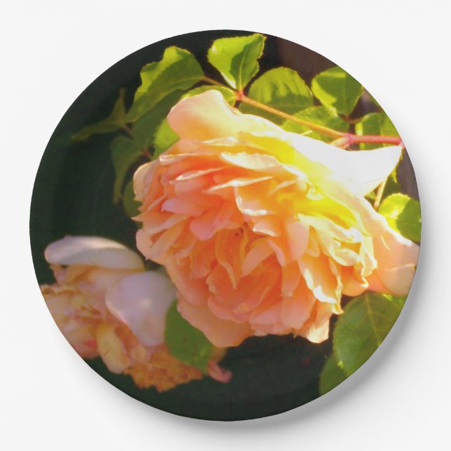Country Peach yellow Roses  Paper Plate (Front)