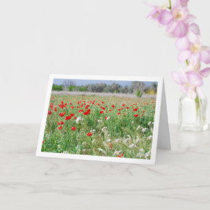 Country Poppy Field Card