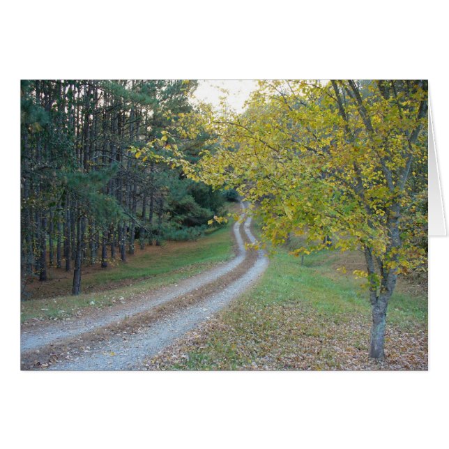 Country Road (Front Horizontal)