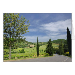 Country road curving between cypress trees in