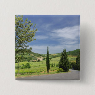 Country road curving between cypress trees in 15 cm square badge